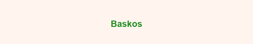 Banniere grossistes-baskoshtml